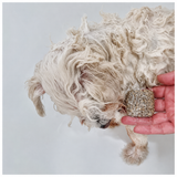 Shampoo Sólido para Perros y Gatos 60 g — Avena y Manzanilla